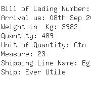 USA Importers of belt - Csl Express Line