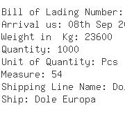 USA Importers of carrot - Bec Corporation