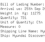 USA Importers of cotton net - Global Container Line Inc